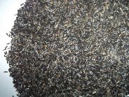 Manufacturers Exporters and Wholesale Suppliers of NIGER SEED Navi Mumbai Maharashtra